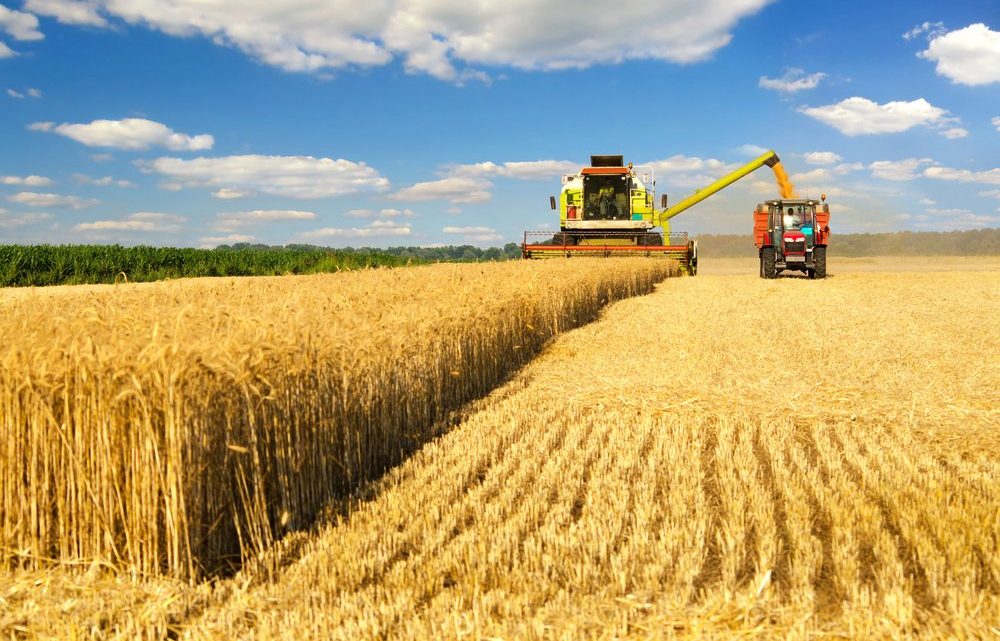 Canadian Agriculture Canadian Agriculture